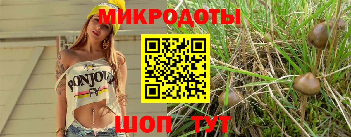 Галлюциногенные грибы мухоморы  Псилоцибиновые грибы GOLDEN TEACHER  Вход с VPN  Ярославль 